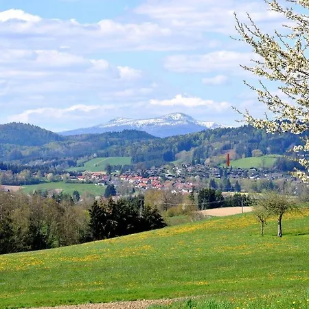 Appealing In Grafenau Haus im Wald